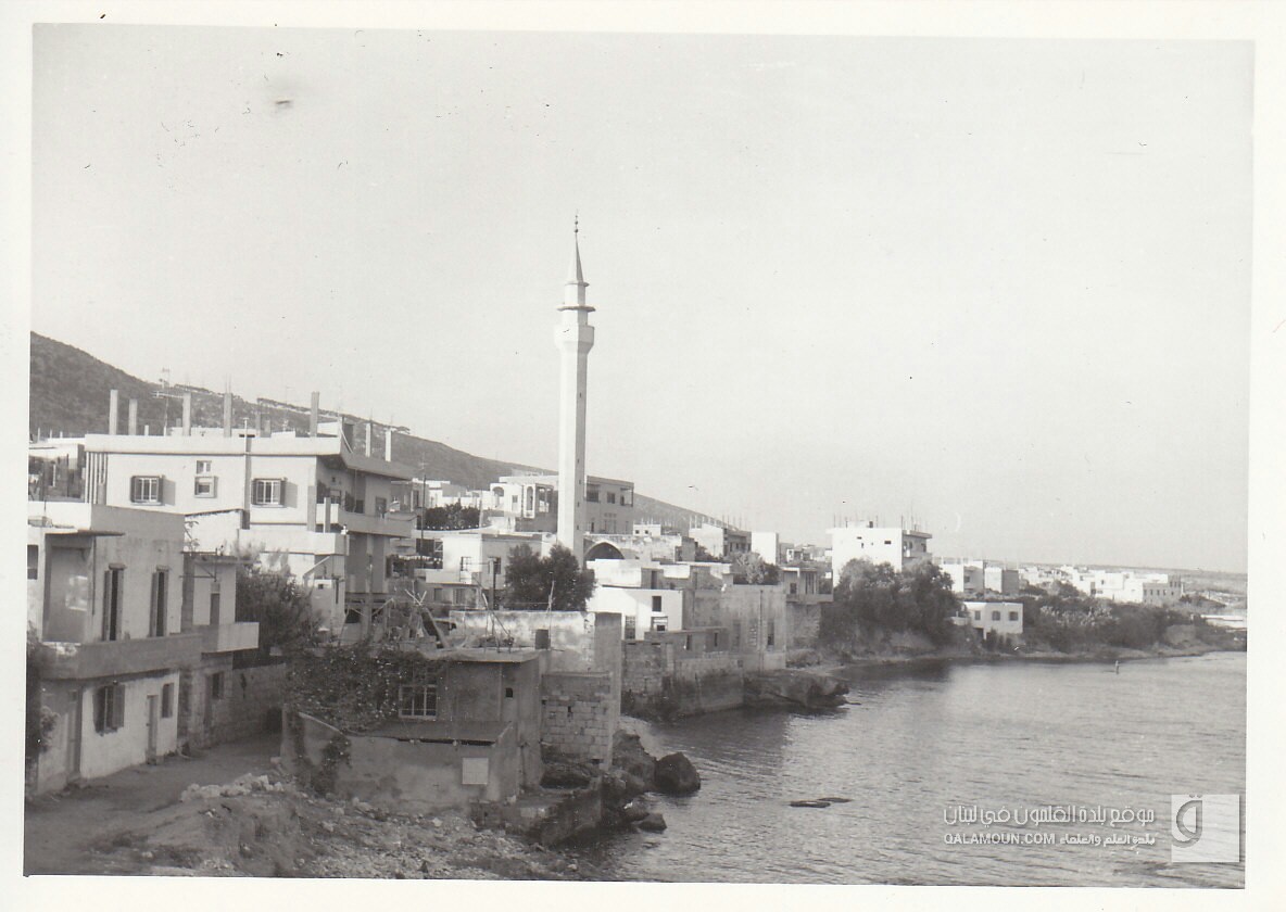 القلمون، تصوير الأستاذ فؤاد رضا حفيد الشيخ رشيد رضا رحمه الله ، عام 1965م